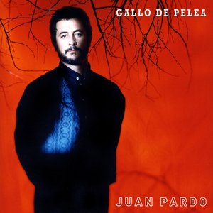 Gallo de Pelea