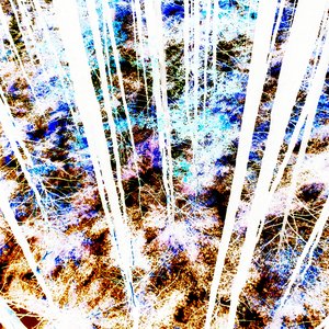 LZY_SLN-002