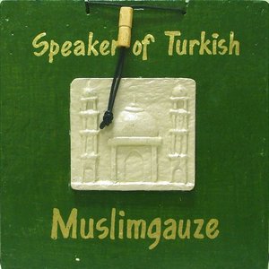 Speaker of Turkish