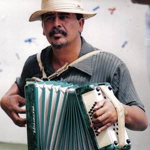 Pedro Boi 的头像