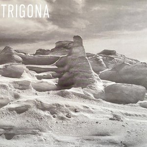 Trigona