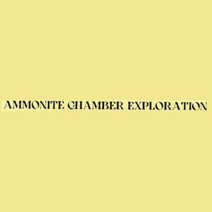 Ammonite Chamber Exploration 的头像