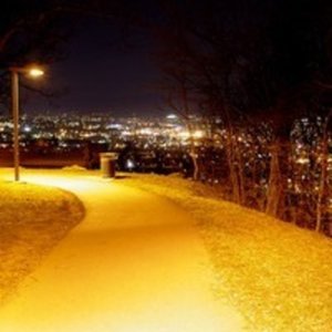 Avatar för theesako