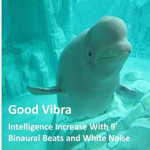 Intelligence Increase With 9' Binaural Beats and White Noise