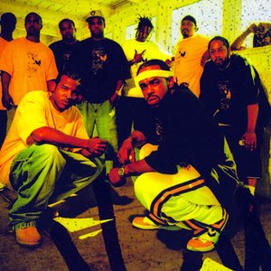 Yellow Jackets 的头像