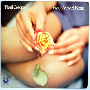 Black Velvet Rose