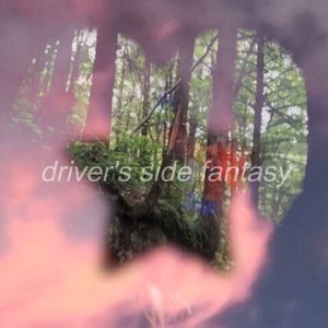 driver's side fantasy