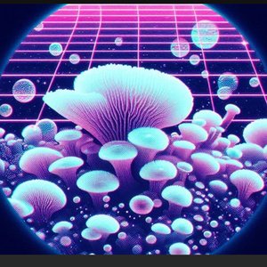 Fungitron2000 的头像
