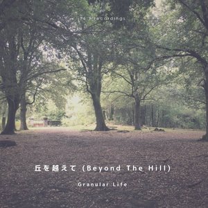 Granular Life