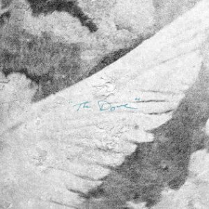 The Dove (Live)