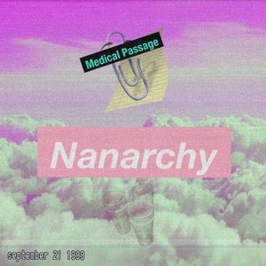 Nanarchy