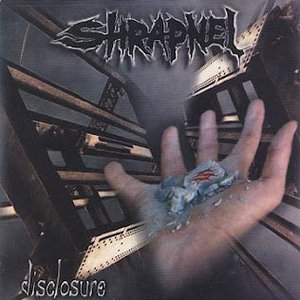 “Disclosure”的封面