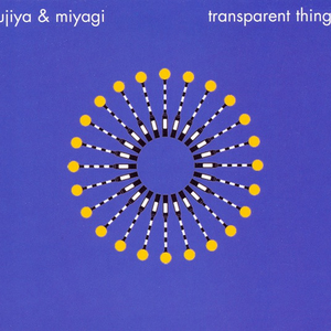 Transparent Things