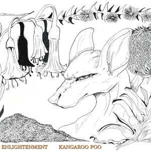 Kangaroo Poo - Single