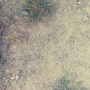 Wind, Wuther, Ear to the Earth