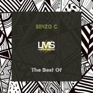 The Best of Senzo C