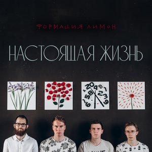 Настоящая жизнь