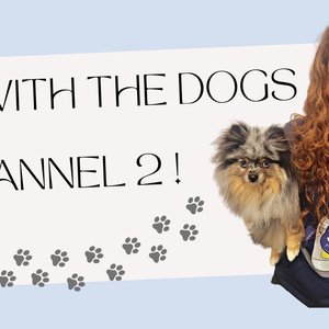 Avatar for Girl With The Dogs 2