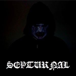 septurnal 的头像