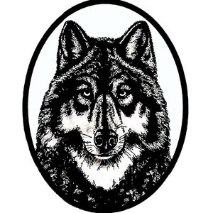 Chances With Wolves 的头像