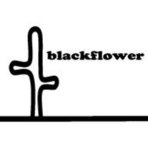 BlackFlower için avatar