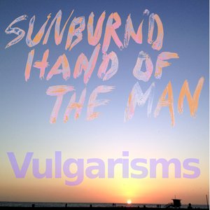 Vulgarisms