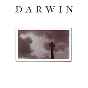 Darwin
