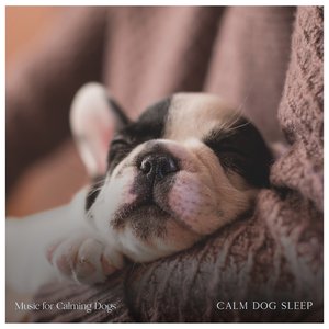 Calm Dog Sleep