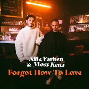 Alle Farben - Forgot How To Love Lyrics - Zortam Music