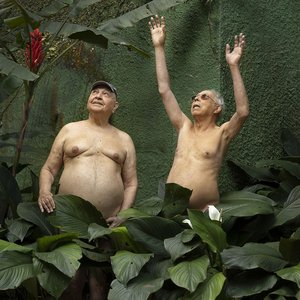 João Donato & Jards Macalé 的头像