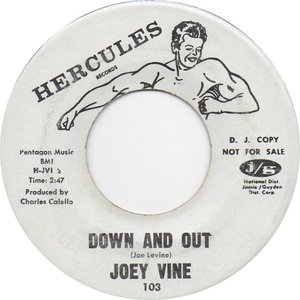 Joey Vine 的头像