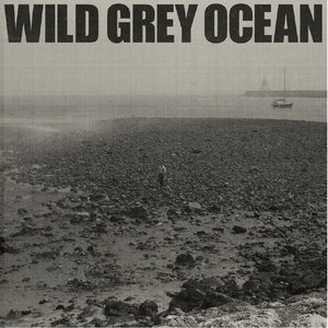 Wild Grey Ocean