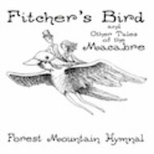 “Fitcher's Bird and Other Tales of the Macabre”的封面