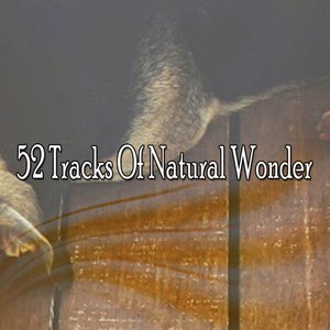 Image for '52 Tracks Of Natural Wonder'