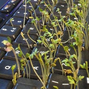 r0rcon4 的头像