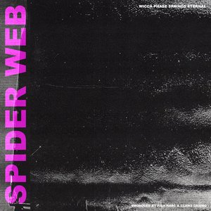 Image for 'Spider Web'