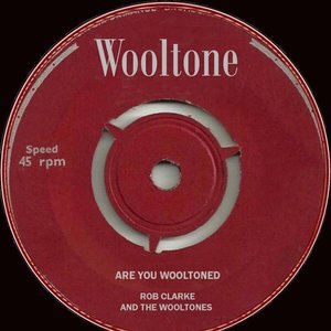 Are You Wooltoned?