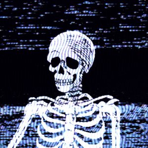 V E N T U S 的头像