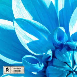 Let It Bloom - Single