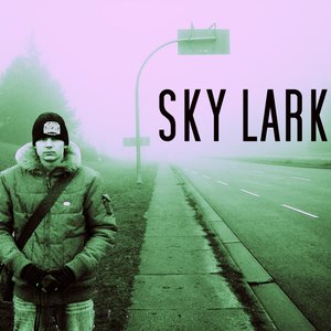 Sky Larker 的头像