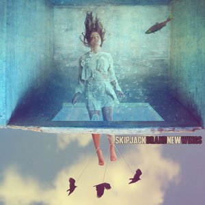 Brand New Wings