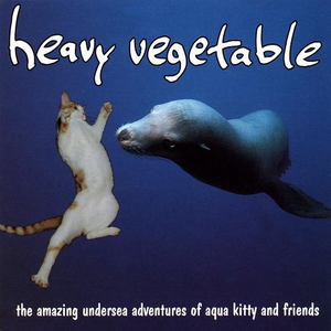 The Amazing Undersea Adventures of Aqua Kitty and Friends cover
