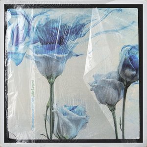 Conversations in the Dark - Single