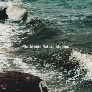Ocean HD Waves