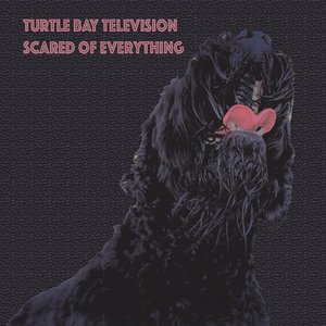 Scared of Everything