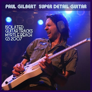 Super Detail Guitar cover