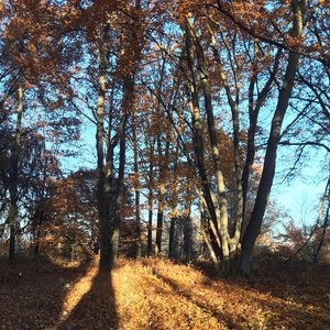 Freaky Halloween - Single