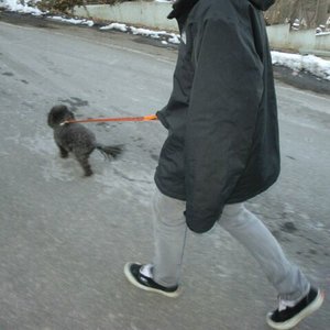 victory lap