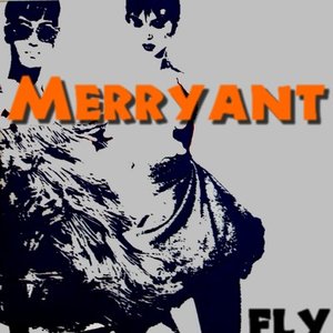 Fly