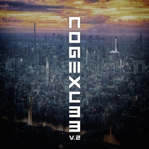 C33 V.2